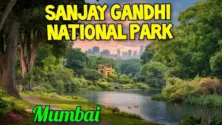 Sanjay Gandhi National Park Complete Guide | Samsung A75 Underwater Test🔥 | SGNP in Monsoon #mumbai