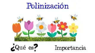 🌷 What is Pollination? 🐝 Types and Importance, Pollinators [Easy and Quick] | BIOLOGY |