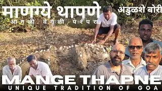 MANGE THAPNE  UNIQUE TRADITION OF GOA Mange Thapne at borim