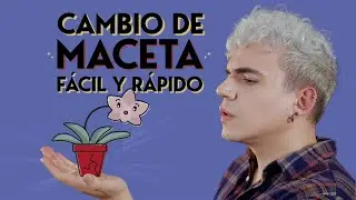 ¿Cómo trasplantar una orquidea?  | | ¡Aprende a cambiar a tu orquídea de maceta paso a paso!