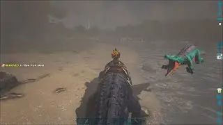 Return to the Ark 2024 Episode 2