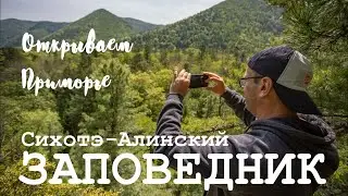 Discovering Primorye. Sikhote-Alin Nature Reserve. Day 1. Mount Lysaya and Cape Severny Trails