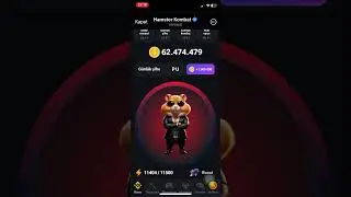 HamsterKombat Code 11 August 2024 Mors Cipher