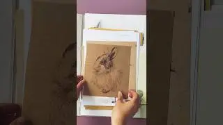Рисунки из художки. Мои работы из Школы акварели Сергея Андрияки