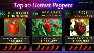 The Top 20 Hottest Peppers in the World