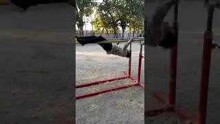 Araya veer dal
