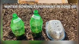 DO NOT MISS THIS! Winter Sowing Experiment / Tutorial Zone 6b! January 2022