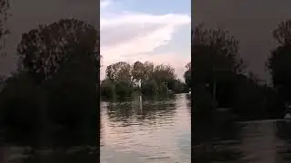 4 июня 2024 г.