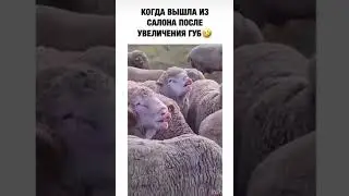 Все девушки сейчас 😂😘#тренды #топ #shorts #юмор