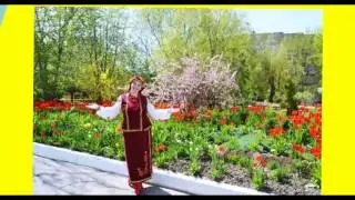 Педагогічна робота за І півріччя 2015--2016 н.р.