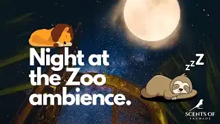 Night at the ZOO Ambience - Sleep, Study ASMR 3 HOURS