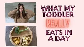 WHAT MY TODDLER EATS IN A DAY | REALISTIC | WEEKLY VLOG