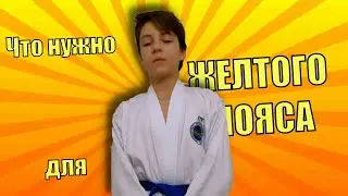 Что нужно для аттестации на ЖЕЛТЫЙ ПОЯС | Советы Taekwondo