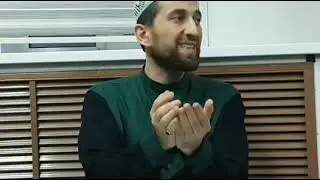 Чему следовать, мазхабу или хадису?