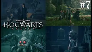 Hogwarts Legacy PC Part 7 #hogwartslegacy