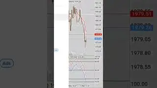 forex trader join vip telegram channel for lifetime free 💰