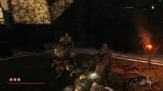 Sekiro Test Capture [PC]
