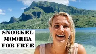 The BEST Place to Snorkel in Moorea, French Polynesia