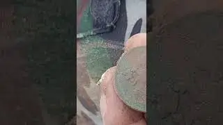 Торчит🧐😅 #metaldetecting #поисксметаллоискателем #клад #коп #coin #масоны