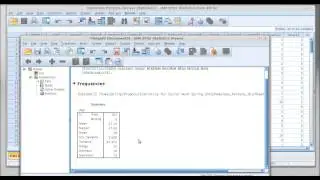 SPSS Walthrough 4 Central Tendency and Dispersion Statistics