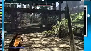 Linux Gaming - The Elder Scrolls V: Skyrim - (NO SOUND)