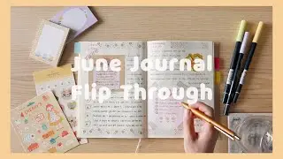 Daily Journal Flip Through 🌼| June 2021☁️