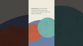 What is Interoception?  #polyvagaltheory #neuroscience #neuroception #polyvagal #shorts #short