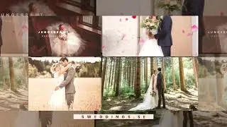 Jungebrant Productions AB - Bröllopsfotograf och Videograf