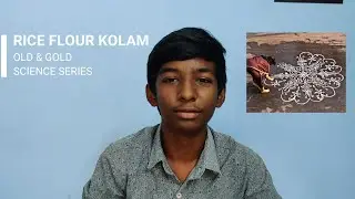 Rice flour kolam & Old Cement | Old & gold science  S1. E6 | In tamil