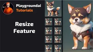 Resize Feature