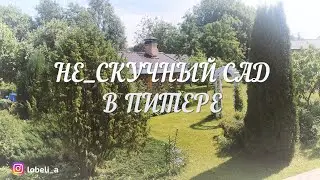 Не_скучный сад в Питере: добро пожаловать