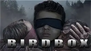 O DIA EM QUE EU ASSISTI BIRD BOX