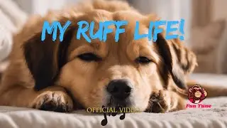 My Ruff Life – A Hilarious AI-Generated Song About a Dog’s ‘Perfect’ Life!