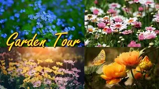 A Garden Tour