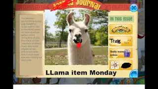 MLG animal jam