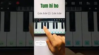 Tum hi ho 