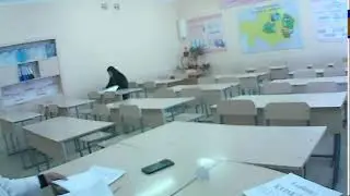 9 kab