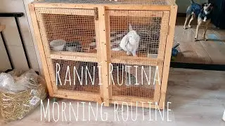 Ranní rutina | Morning routine | Farted Zoo