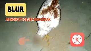 Blur mengikuti object bergerak - kinemaster tutorial