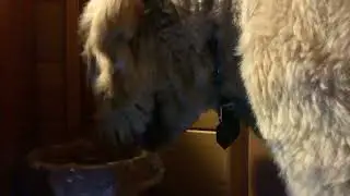 Finn 3: What Do You Think Of Being Indoors?