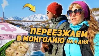 Переезжаем в Монголию на 4 дня. Буузы из яка. Жизнь в юртах.