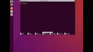 Scripting básico Linux