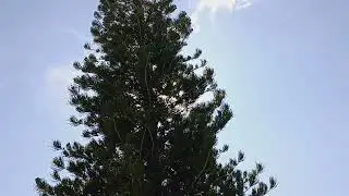 Eclipse solar