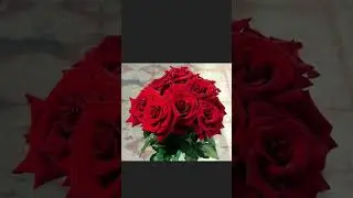 Миллион алых роз Пугачёва #музыка #hit #music #short #shorts #музыкадлядуши