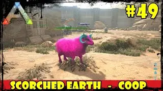 Ark SCORCHED EARTH COOP #49/ A SAGA PARA DOMESTICAR UMA OVELHA PARTE 1 - INICIO DA PLANTAÇAO