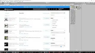 Unity - Importing assets from the Asset Store