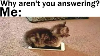 Wholesome Memes to Send Your Friends