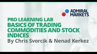Understand the Basics when Trading Commodities and Stock Indices