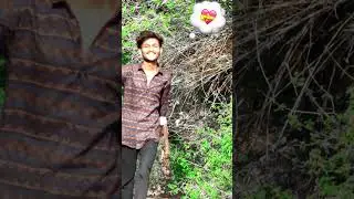 to dosto..🙂 new timli song...reel video.. 