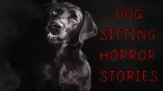 3 Allegedly TRUE Dog Sitting Horror Stories